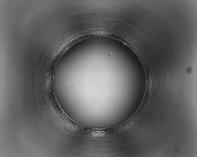 X0000116390355200912161529