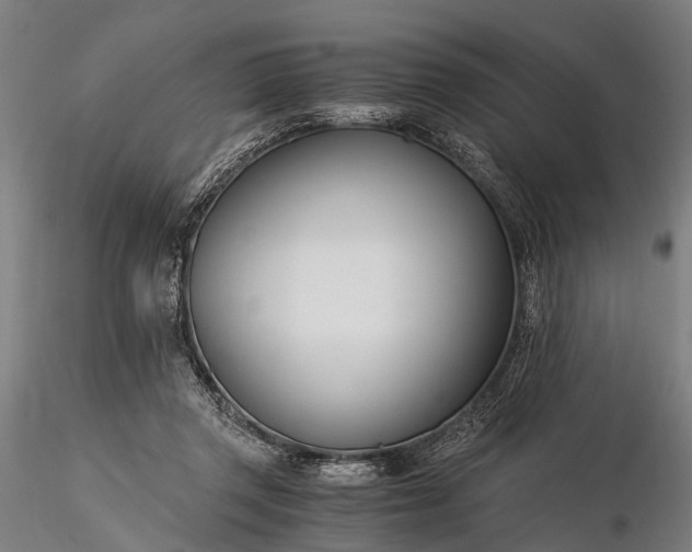 X0000116390357200912161529