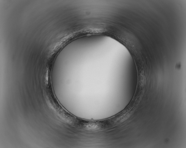 X0000116390358200912161529