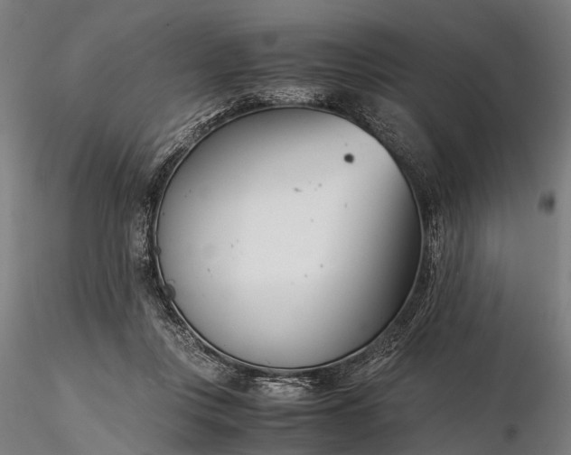 X0000116390359200912161529