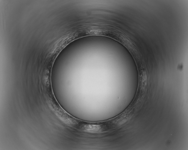 X0000116390361200912161529