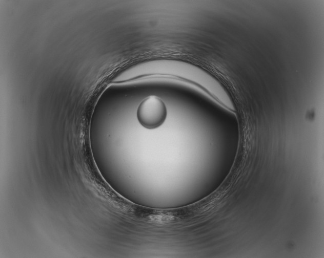 X0000116390362200912161529