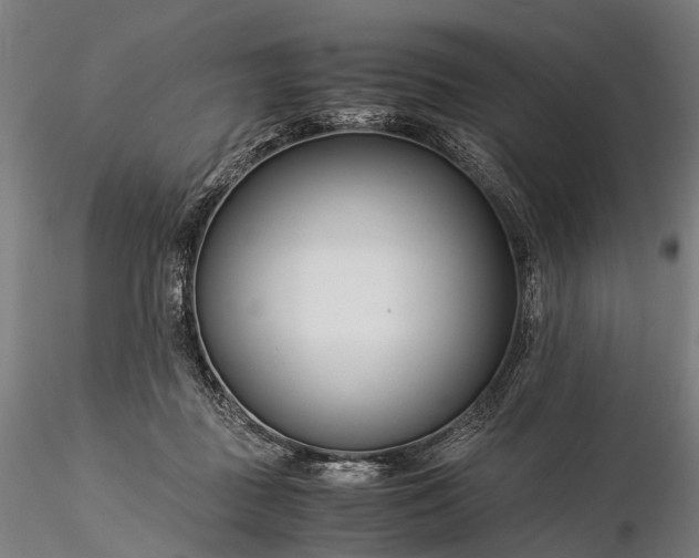 X0000116390363200912161529