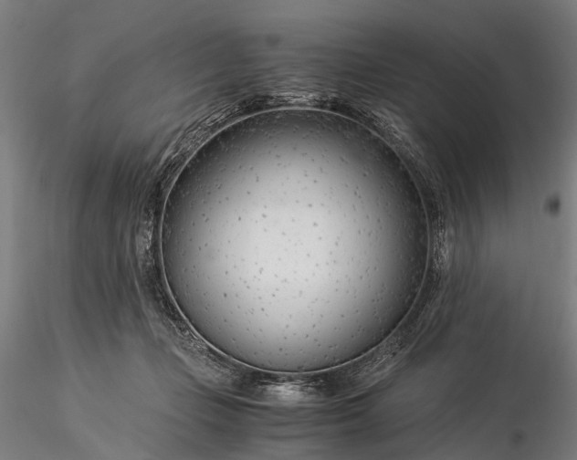 X0000116390365200912161529