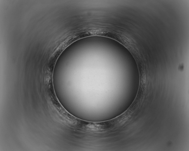 X0000116390367200912161529