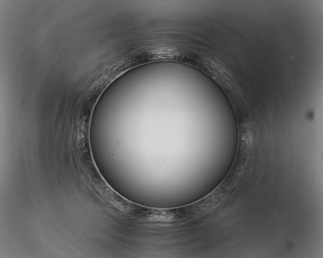 X0000116390369200912161530
