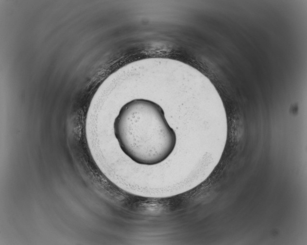 X0000116390370200912161530