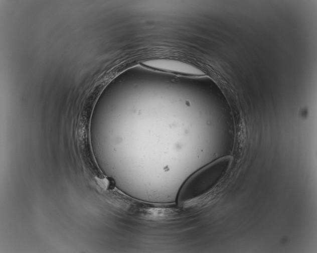 X0000116390371200912161530