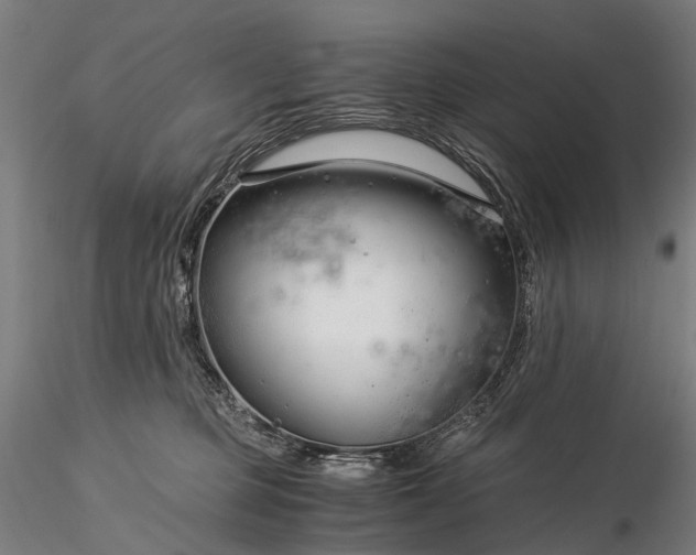 X0000116390373200912161530