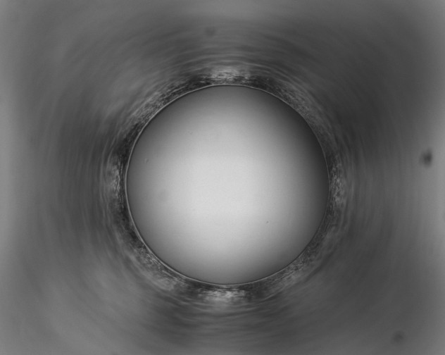 X0000116390375200912161530