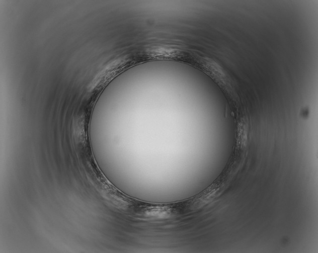 X0000116390377200912161530