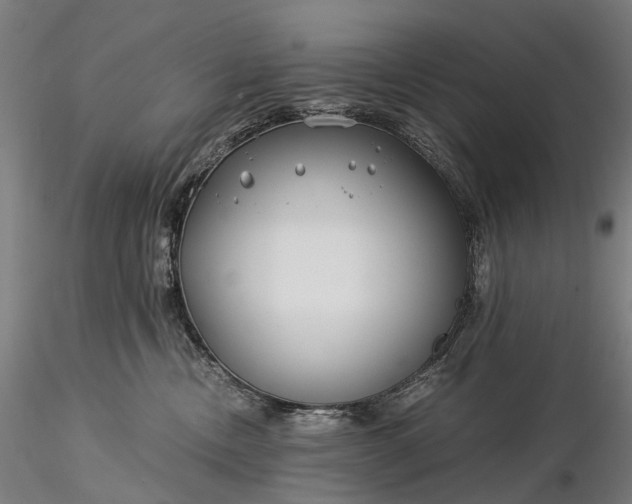 X0000116390378200912161530