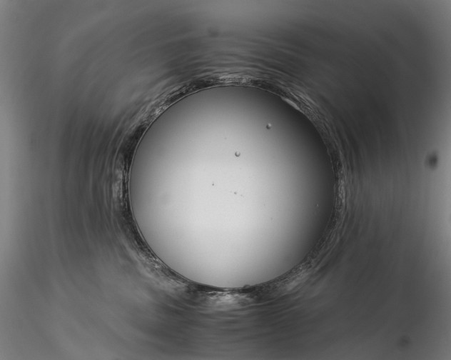 X0000116390379200912161530