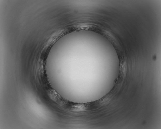 X0000116390381200912161530