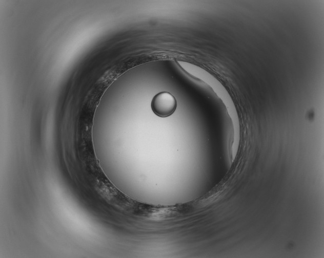 X0000116390382200912161530