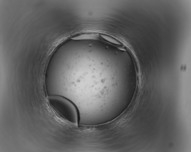 X0000116390385200912161529