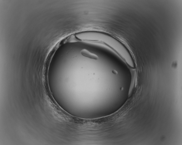 X0000116390387200912161529