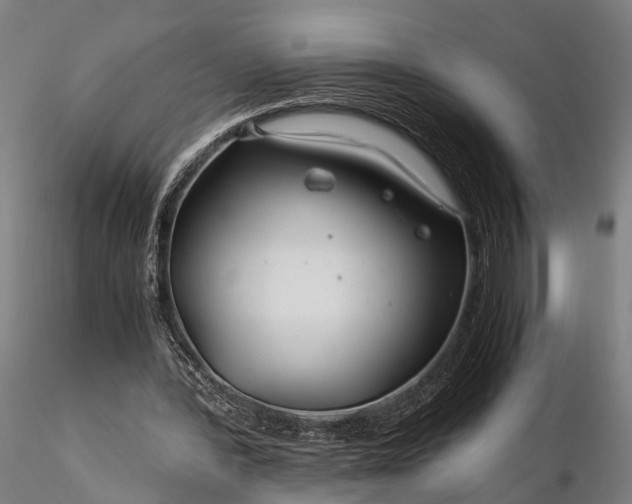 X0000116390388200912161529