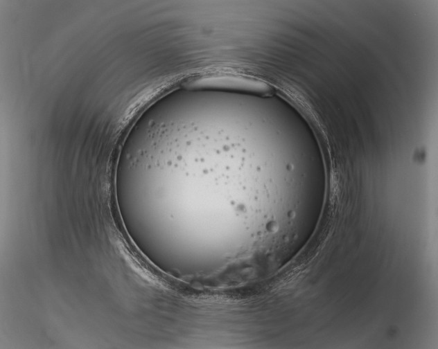 X0000116390389200912161529