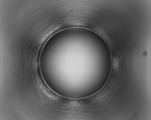 X0000116390390200912161529