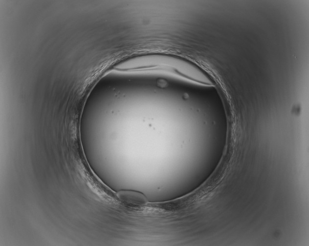 X0000116390393200912161529