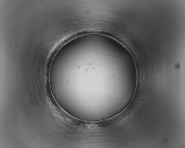 X0000116390395200912161529