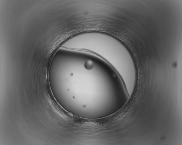 X0000116390397200912161529