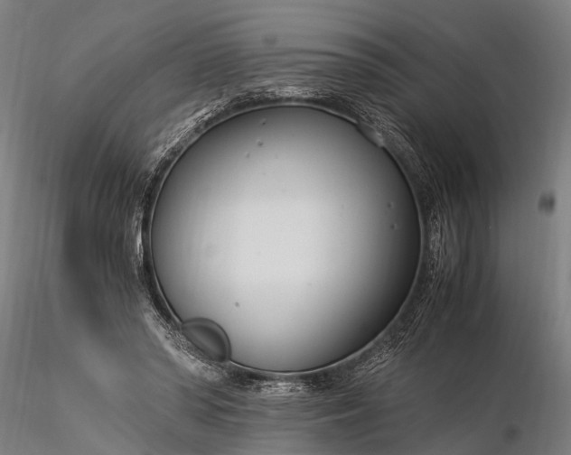 X0000116390398200912161529