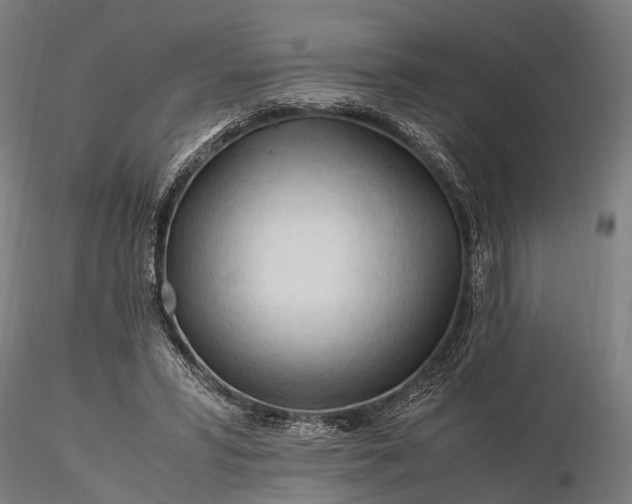 X0000116390399200912161529