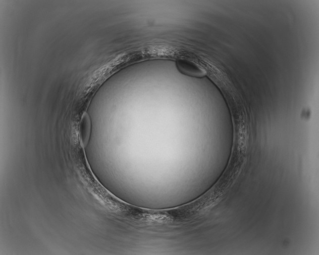 X0000116390401200912161529