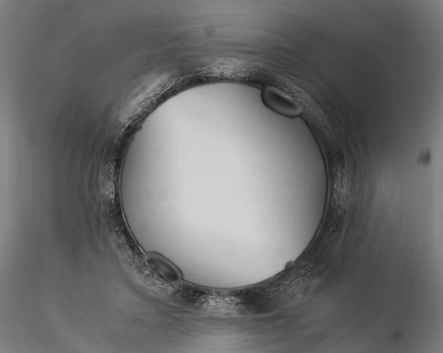 X0000116390403200912161529