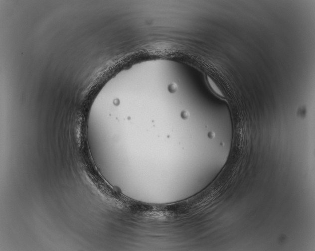 X0000116390404200912161529