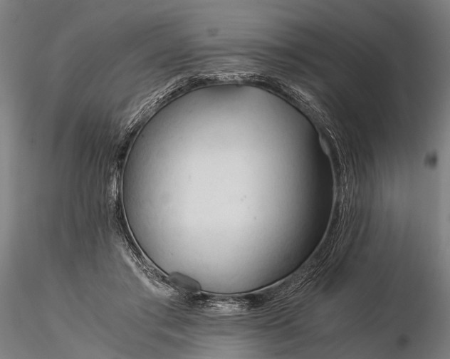 X0000116390405200912161529