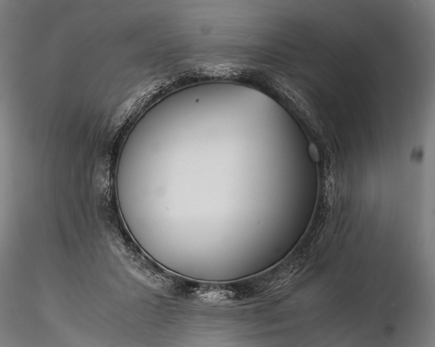 X0000116390407200912161529