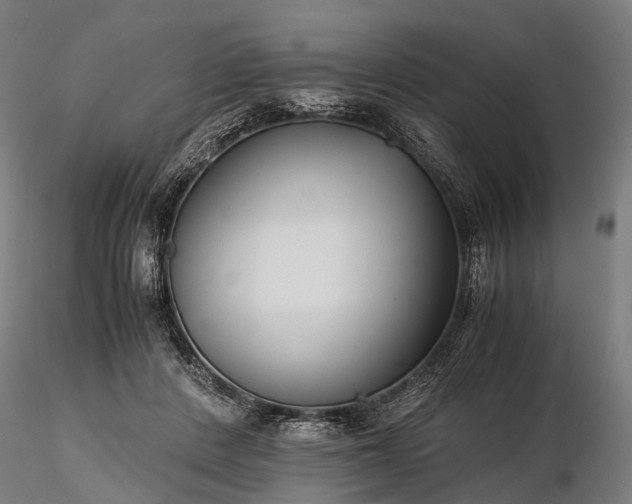 X0000116390408200912161529