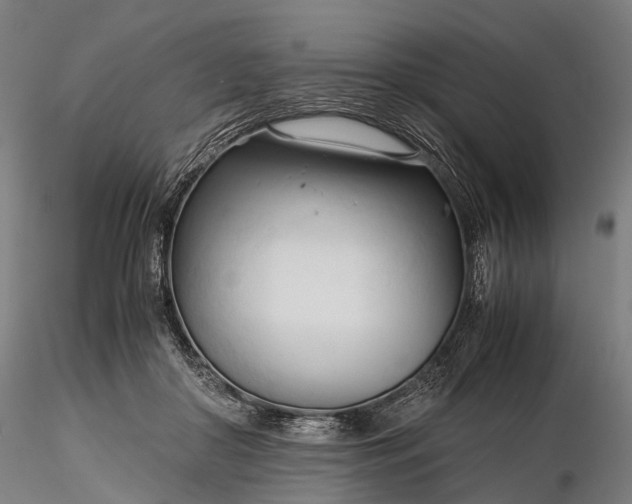 X0000116390410200912161529