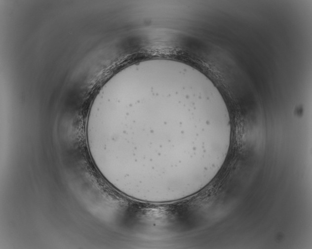 X0000116390411200912161529