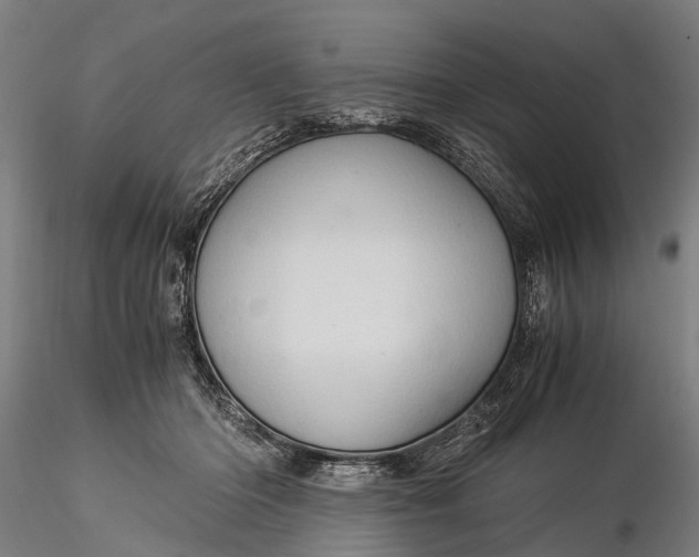 X0000116390414200912161529