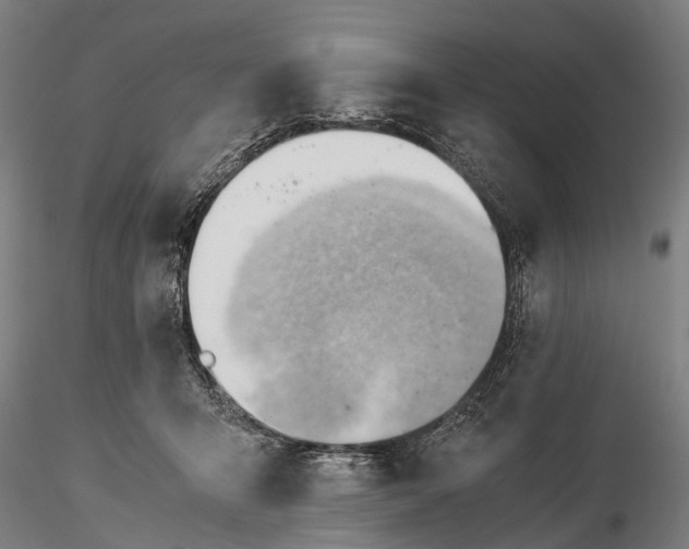 X0000116390415200912161529