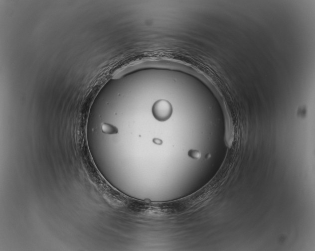 X0000116390416200912161529