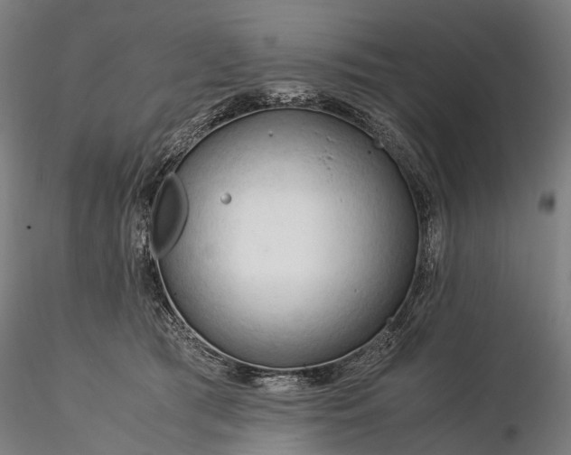 X0000116390417200912161529