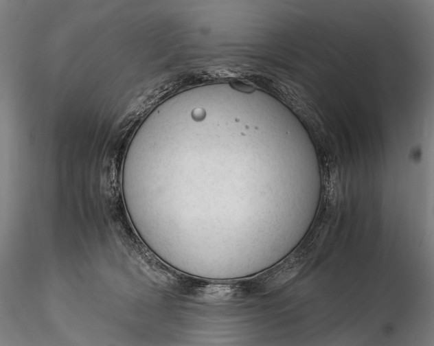 X0000116390418200912161529