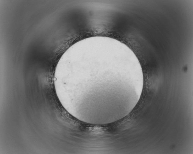 X0000116390419200912161529