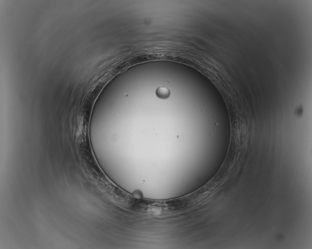 X0000116390420200912161529