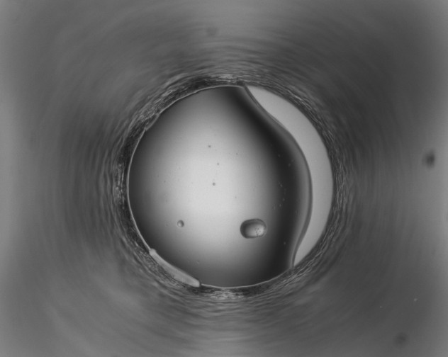 X0000116390421200912161529