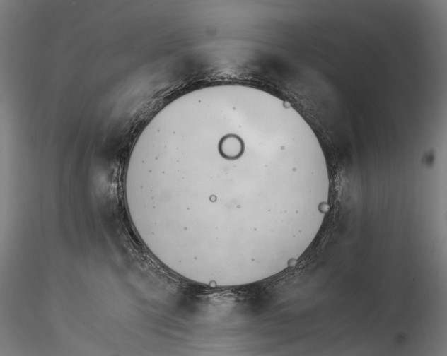 X0000116390423200912161529