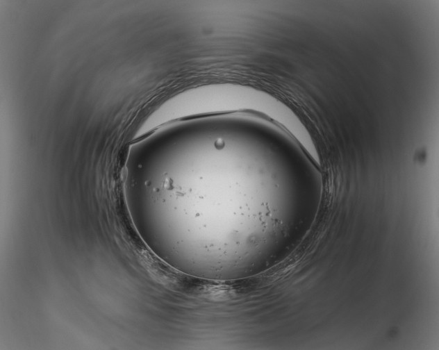 X0000116390424200912161529
