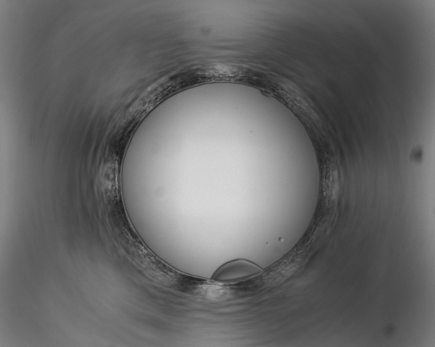 X0000116390425200912161529