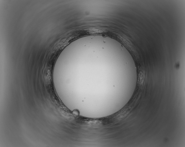 X0000116390426200912161528
