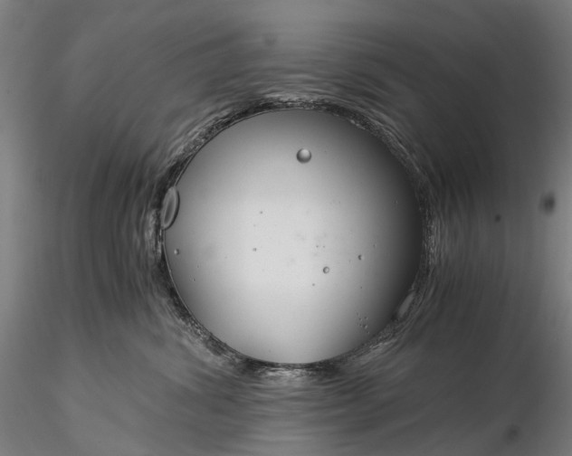 X0000116390428200912161528